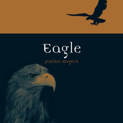 Eagle Animal