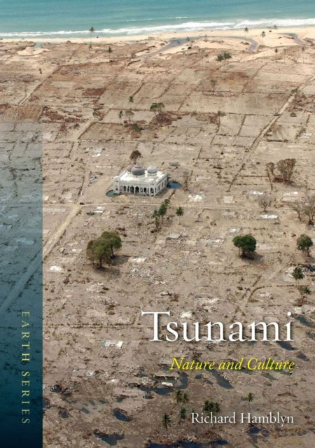 Tsunami Nature and Culture Earth