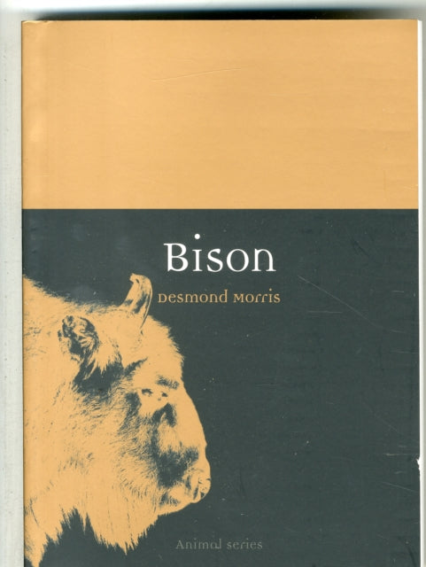 Bison