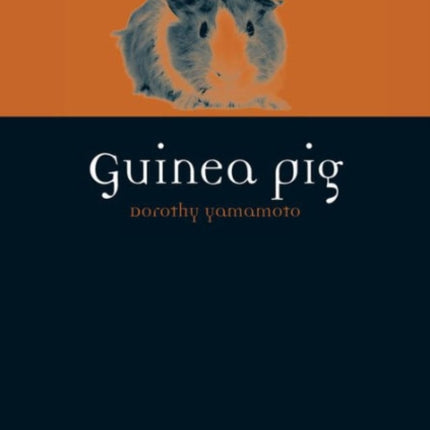 Guinea Pig