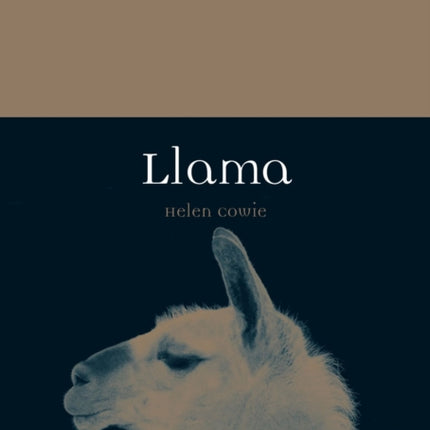 Llama
