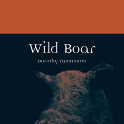 Wild Boar