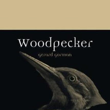 Woodpecker