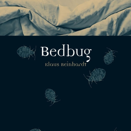 Bedbug