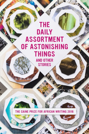 The Daily Assortment of Marvelous Things and Other Stories: The Caine Prize for African Writing 2016