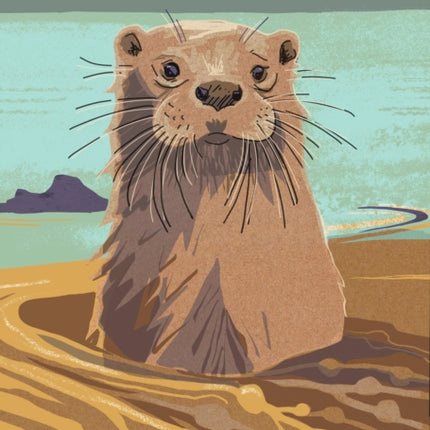 Nature Notebook: Otter