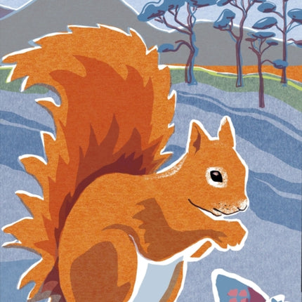 Nature Notebook: Red Squirrel