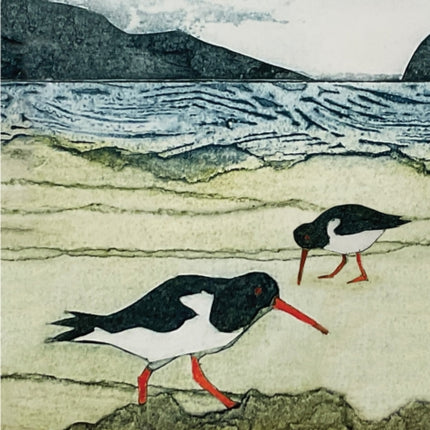 Wild Birds Pocket Notebook: Oystercatcher