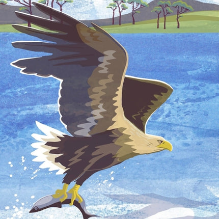 Nature Notebook Sea Eagle