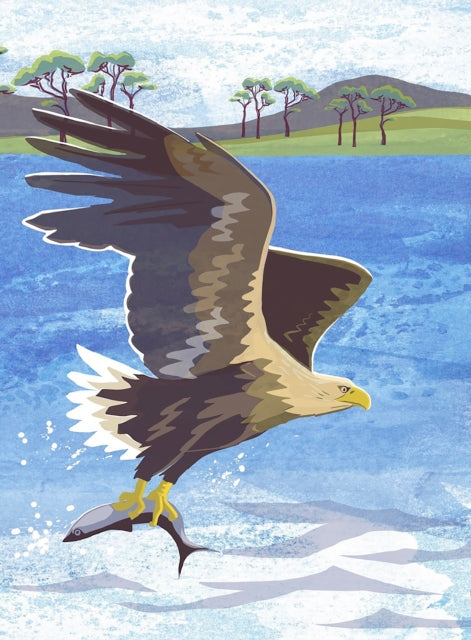 Nature Notebook Sea Eagle