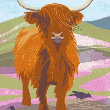 Nature Notebook Highland Cow