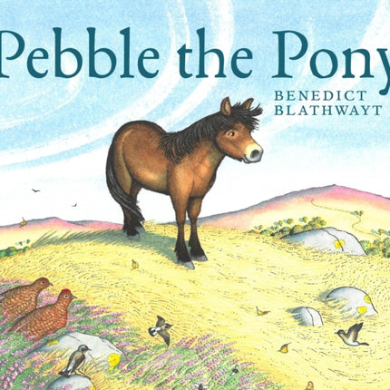 Pebble the Pony