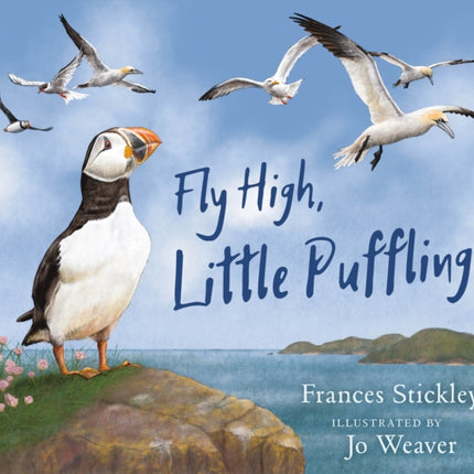 Fly High Little Puffling