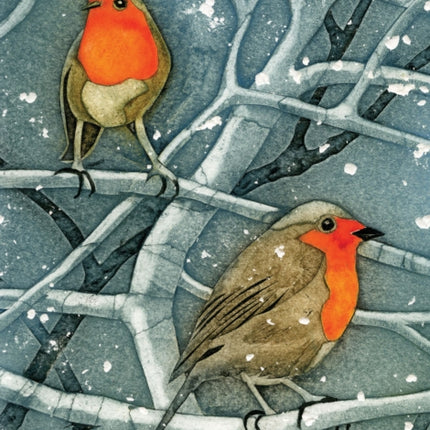 Wild Birds Pocket Notebook Robin