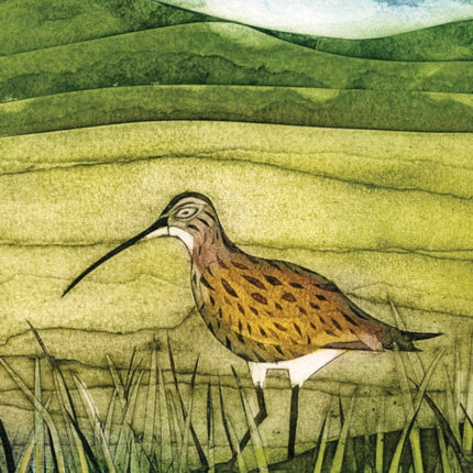 Wild Birds Pocket Notebook Curlew