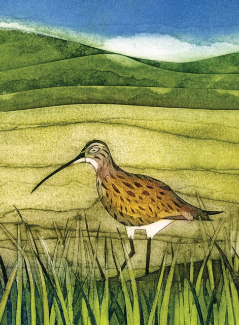 Wild Birds Pocket Notebook Curlew