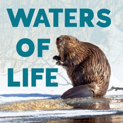 Collection image for: Zoology: mammals (mammalogy) Books