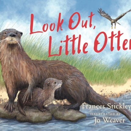 Look Out Little Otter