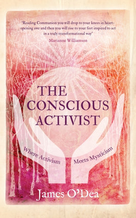 The Conscious Activist: Where Activism Meets
