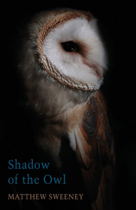 Shadow of the Owl