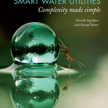 Smart Water Utilities: Complexity Made Simple