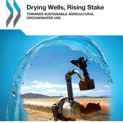 Drying Wells, Rising Stakes – Towards Sustainable Agricultural Groundwater Use