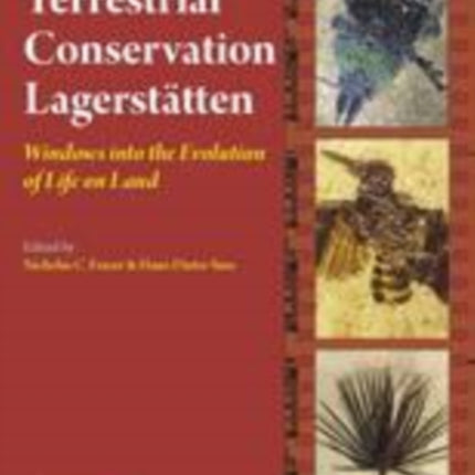 Terrestrial Conservation Lagerstatten: Windows