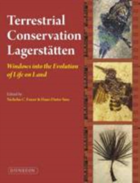 Terrestrial Conservation Lagerstatten: Windows