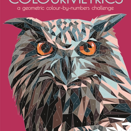 Colourmetrics: A Geometric Colour by Numbers Challenge