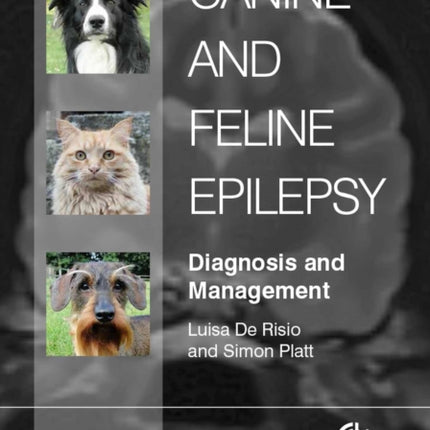 Canine and Feline Epilepsy: Diagnosis and Management