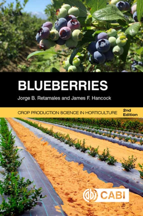 Blueberries