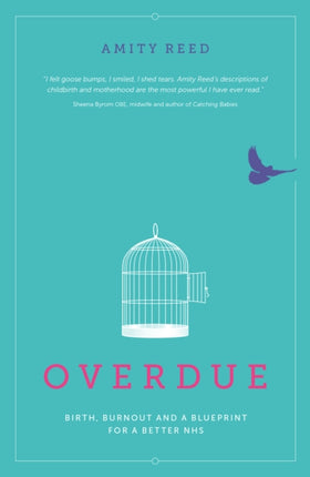 Overdue: Birth, burnout and a blueprint for a