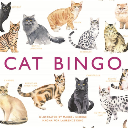 Cat Bingo