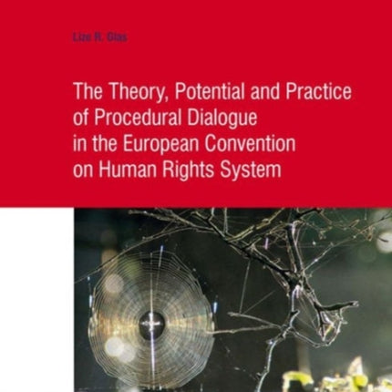 The Theory, Potential and Practice of Procedural