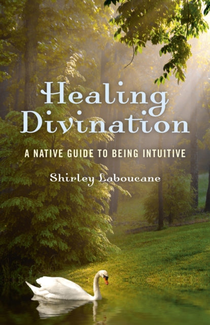 Healing Divination  a native guide to being intuitive