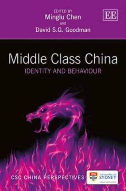 Middle Class China: Identity and Behaviour