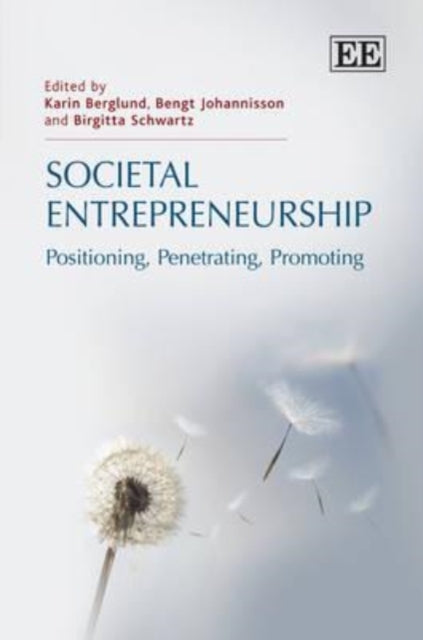 Societal Entrepreneurship: Positioning,