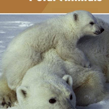 Polar Animals: Set 4