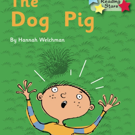 The Dog Pig: Phonics Phase 2