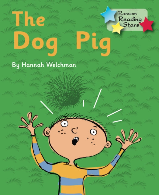 The Dog Pig: Phonics Phase 2