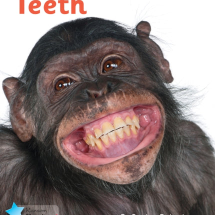 Teeth: Phonics Phase 3