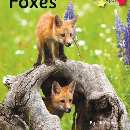 Foxes: Phonics Phase 5