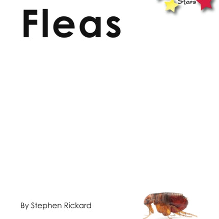 Fleas