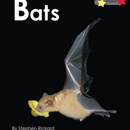 Bats