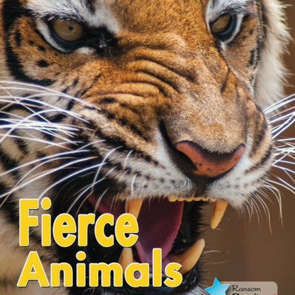 Fierce Animals