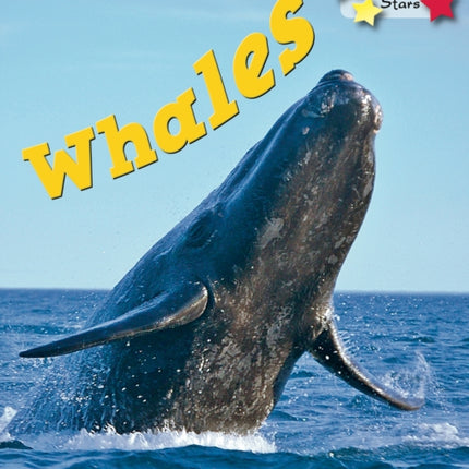 Whales