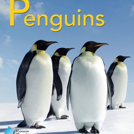 Penguins