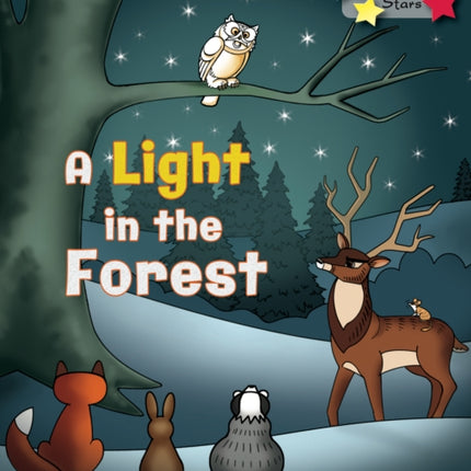 A Light in the Forest