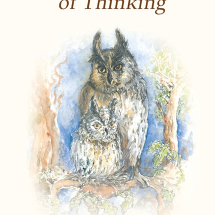 Little Owls Book of Thinking