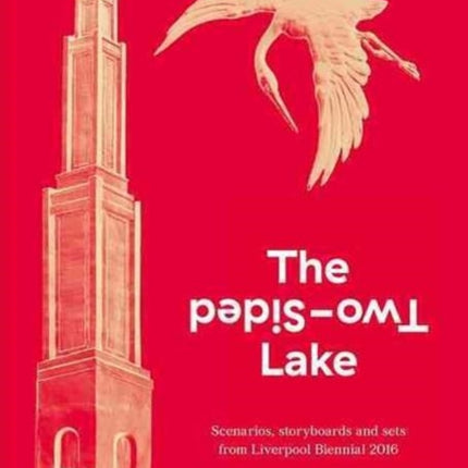 The Two-Sided Lake: Scenarios, storyboards and